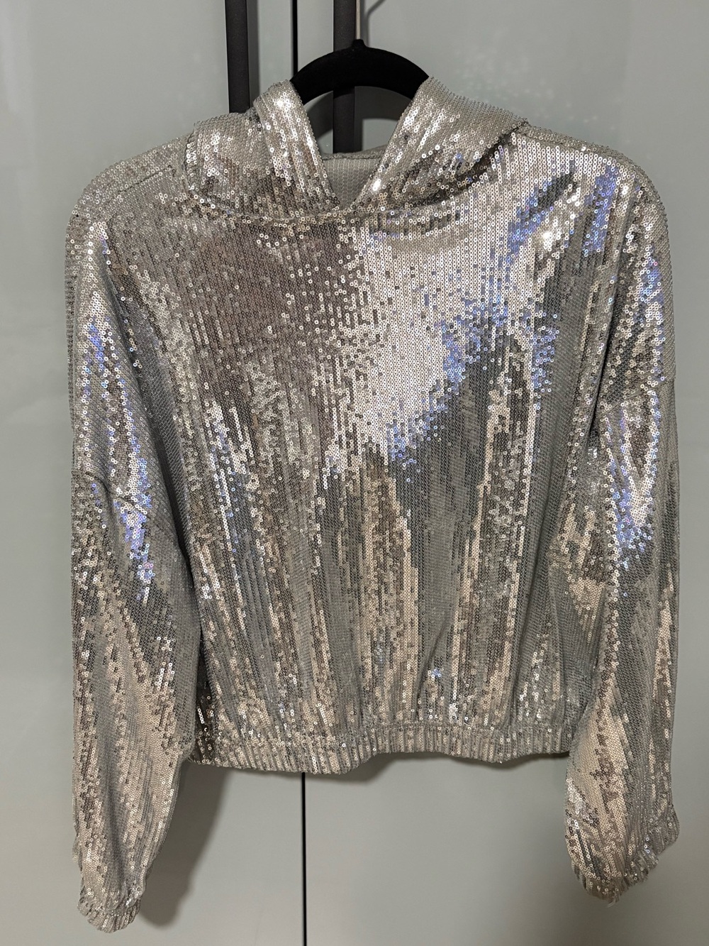 Zara Silver Sequin Hooded Sweatshirt